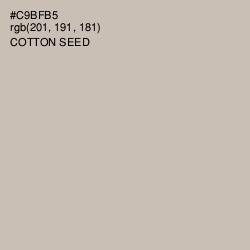 #C9BFB5 - Cotton Seed Color Image